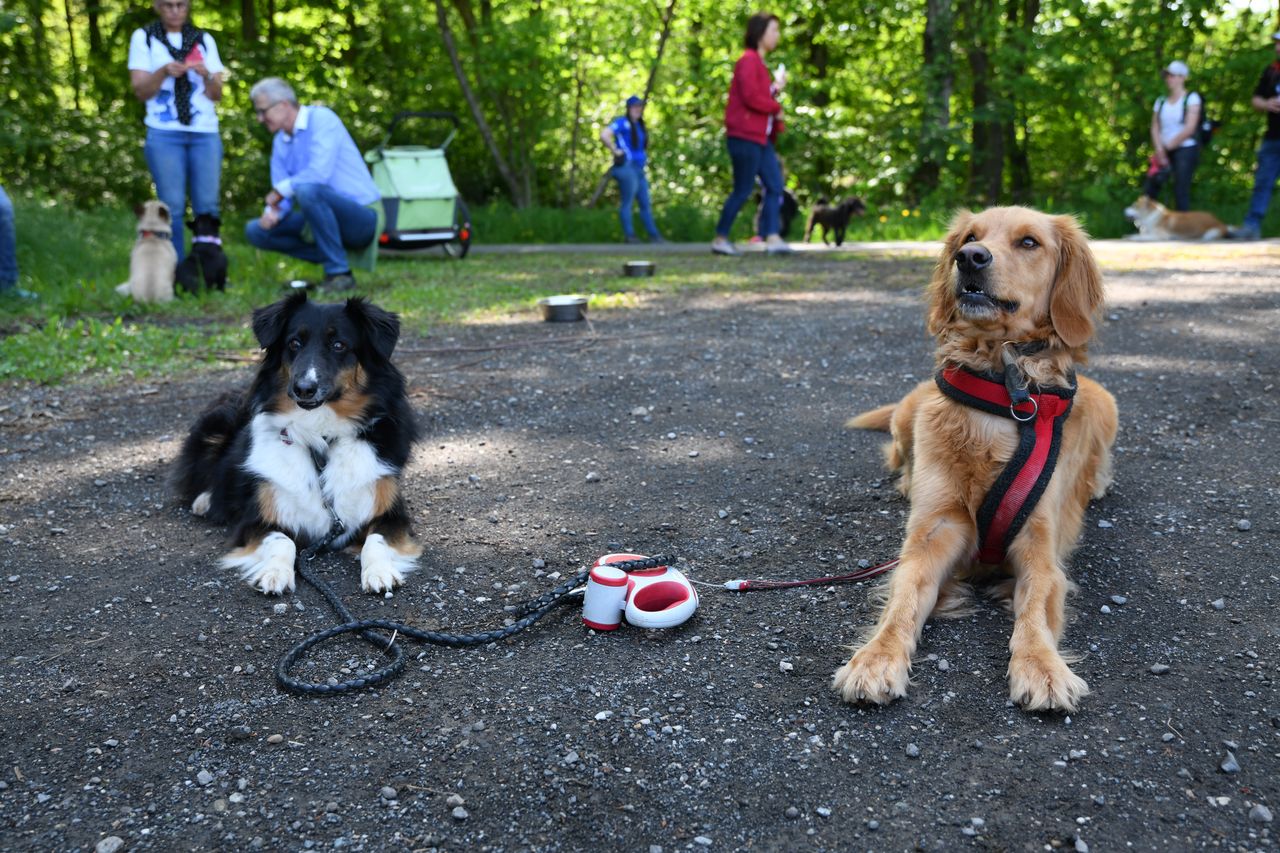 Wandertag-20190501/DSC_0148.JPG